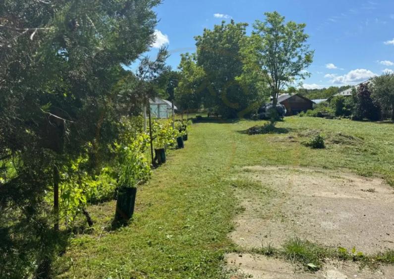 Teren Snagov Ideal pentru dezvoltare reziden?iala sau - 5