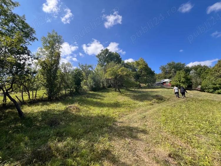 Casa batraneasca cu teren 3800mp - 4
