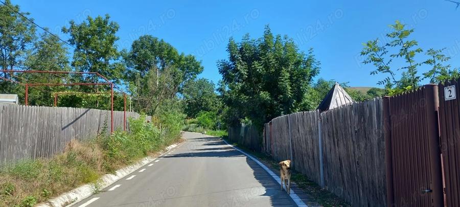 Casa de vanzare 1400mp - 4