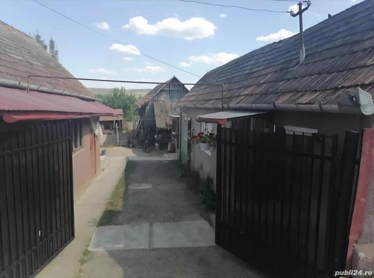 Casa la curte de vanzare in Abus Mures - 5