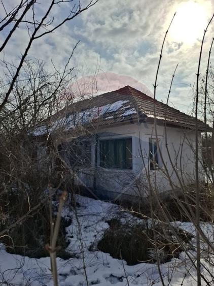 Casă cu teren 2.596 mp | Deschidere la drum asfaltat | Dridu, Ialomița - 1