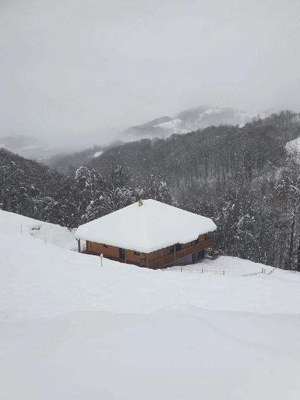 Casă cu Teren 2000 Mp în Sohodol