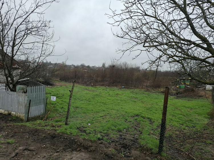 Vand teren in ilfov - 5