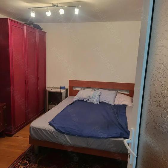 Casa sat Albina - 10