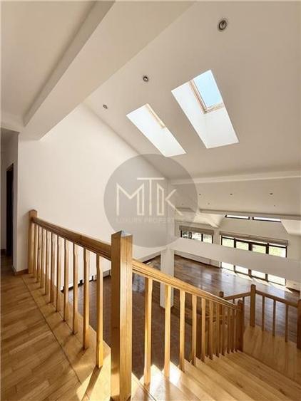 Vila Individuala Spectaculoasa cu Piscina, Erou Iancu Nicolae-Pipera - 24