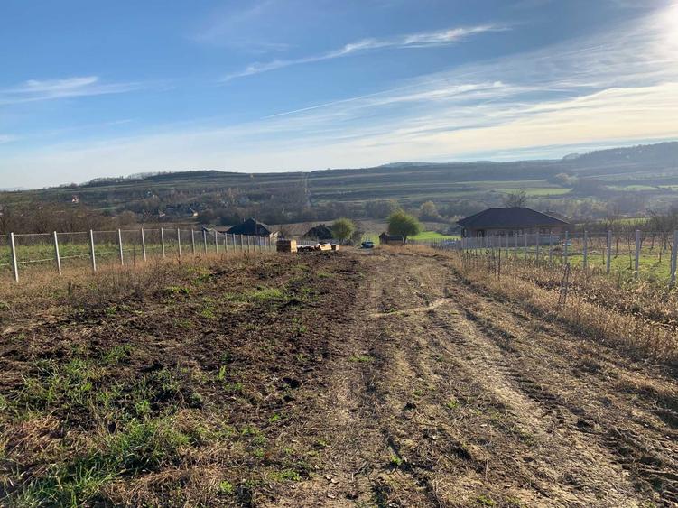 teren intravilan 2900mp, priveliste, utilitati, autoriz. constructie - 2