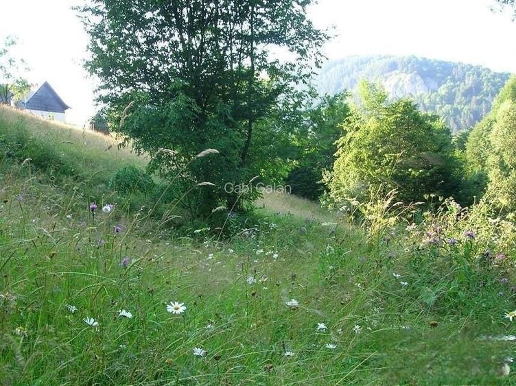 REZERVAT - TEREN BRAN - OPORTUNITATE INVESTITIE