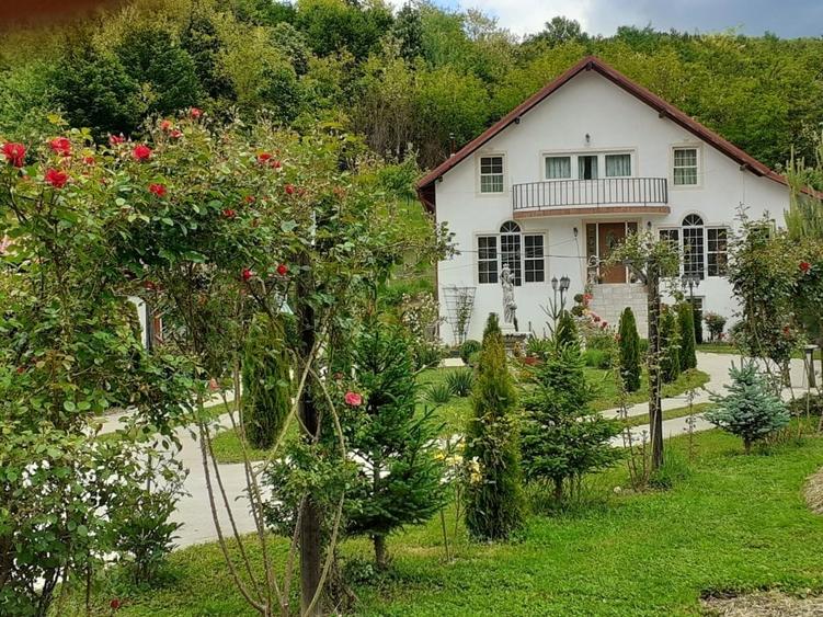 Casa P+M, Malureni -Toplita,  teren 2.798mp - 2