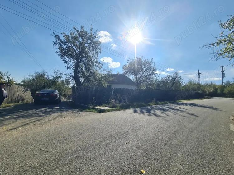Casa si pamant agricol de vanzare - 6