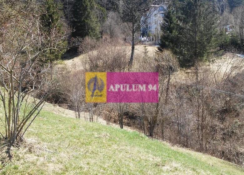 Teren de v&acirc;nzare &icirc;n Bușteni - Zona Zamora - 17