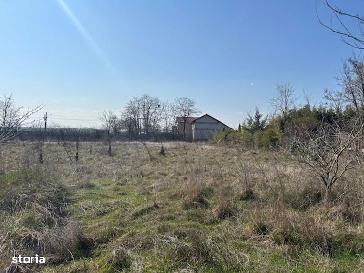 Vadu Corbu Teren superb 1000 mp investitie sau casa de vacanta - 4