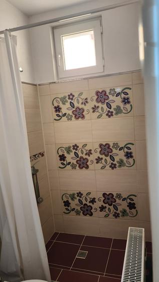 Vila superba 8 camere ,stil conac Brancovenesc - 17