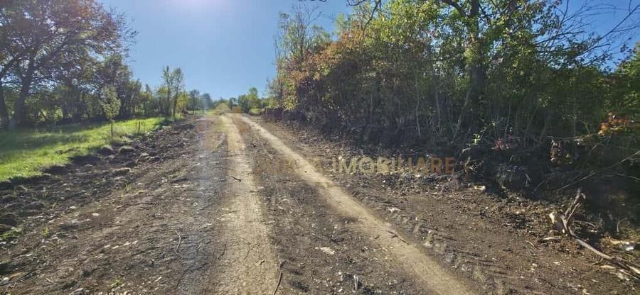 TEREN INTRAVILAN 11000 MP - 6