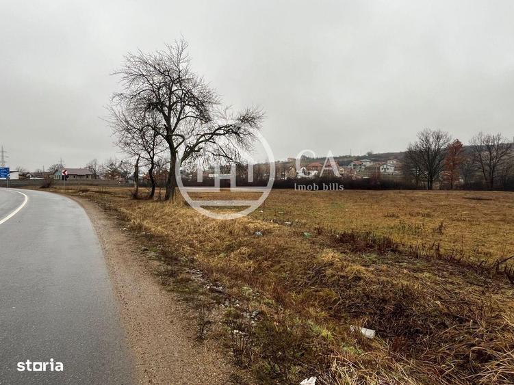 Teren intravilan de vanzare in Beius, Bihor - 3