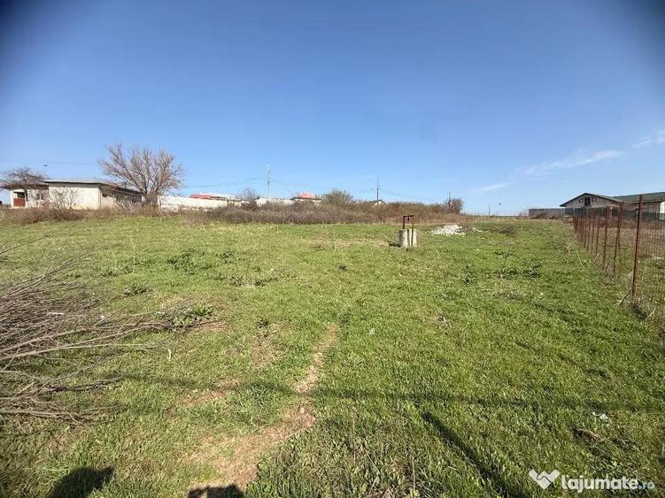 Teren Roata de jos Giurgiu 3000 mp - 6