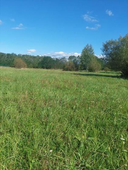 TEREN INTRAVILAN\699 mp, 45€ mp\ CARANSEBEȘ\ ZONA TEIUȘ - 6