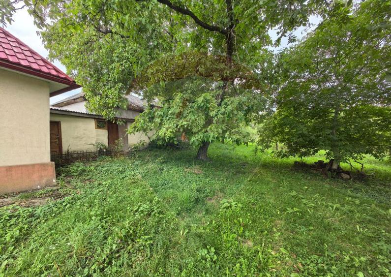 Casa traditionala De Vanzare cu 5 Hectare de teren - 18