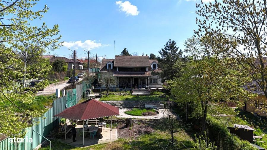 Vila pe lac cu vedere la padure - Pasarea - Branesti - 4