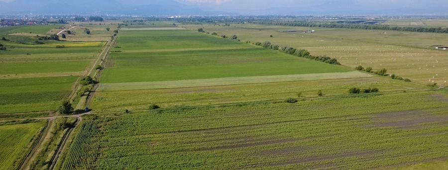 Teren Construcții extravilan de 480 mp, în Bod