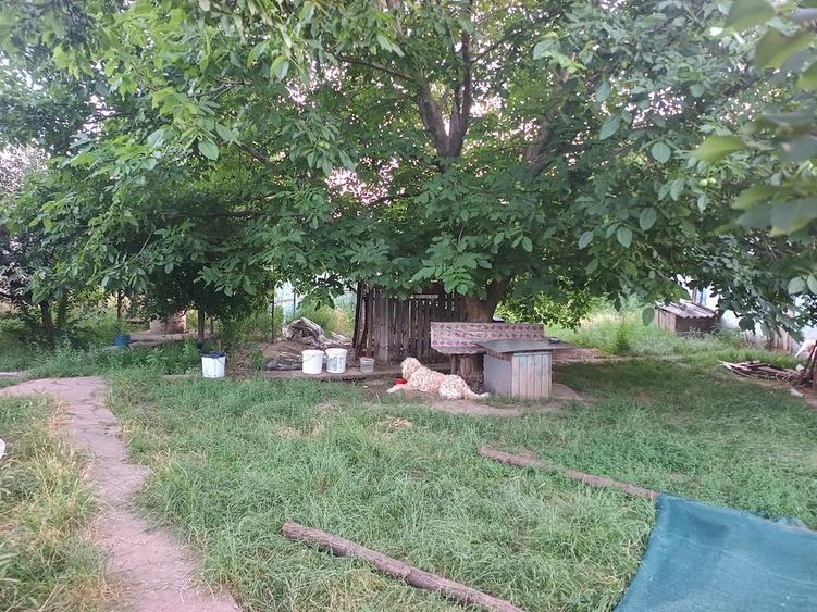Casă cu 3 camere cu Teren 2500 Mp în Central