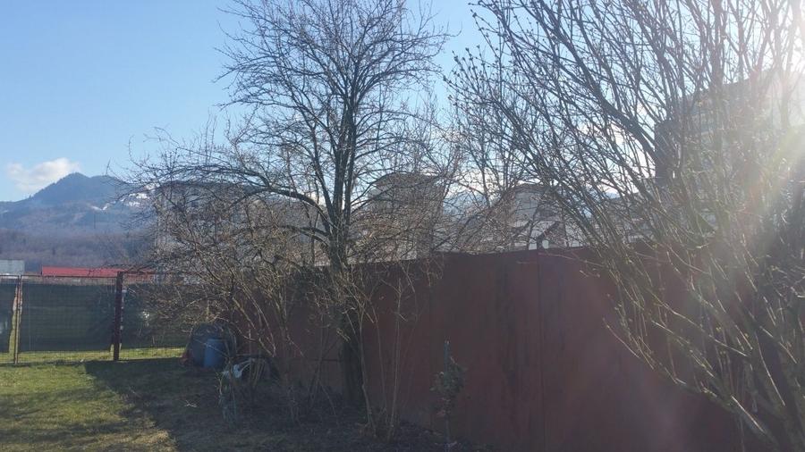 Teren Construcții intravilan de 900 mp, în Noua