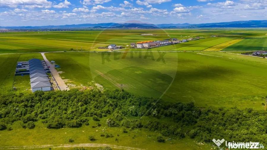Teren în Tărlungeni