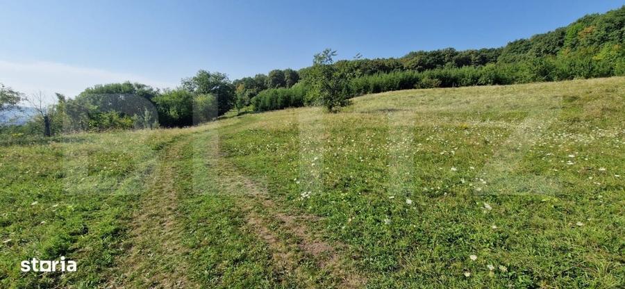 Teren de vanzare, 1Ha in apropiere de cartierul RAAL - 3