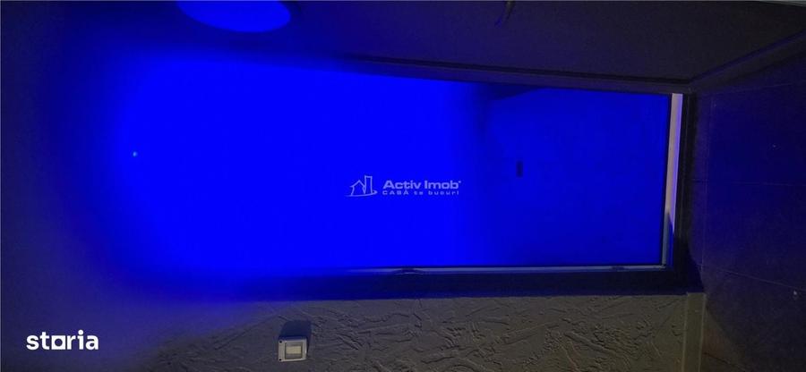 Vila PREMIUM, piscina, teren 2000 mp, POSTA CALNAU - 9