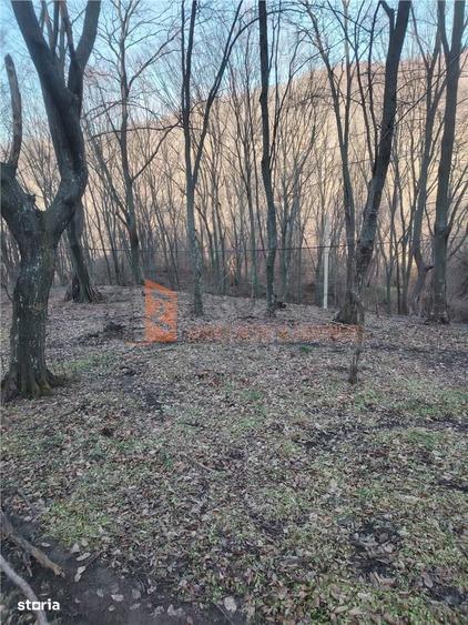 Teren intravilan zona Monteoru - 1