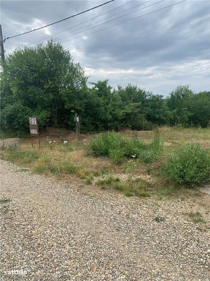 Teren intravilan in Paleu - 2