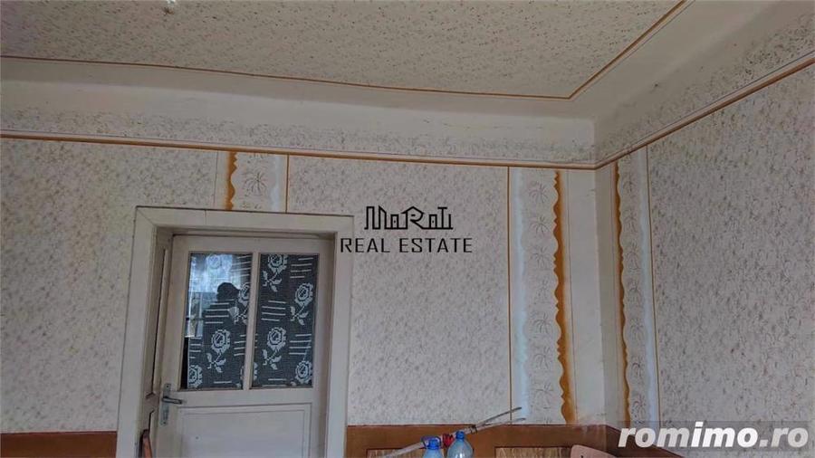 Domeniu de 7 ha in Apuseni - Criscior, Hunedoara - 2