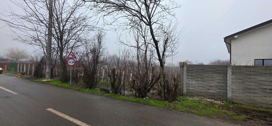 Teren de vanzare Comuna Carcea - 2