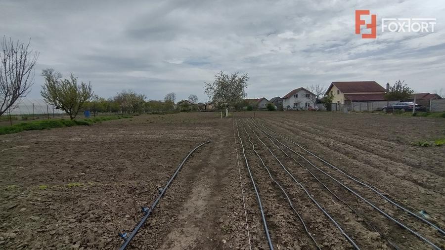 Casa individuala 3 camere, Sanmihaiu Roman - Anexe, 1062 mp teren - 14