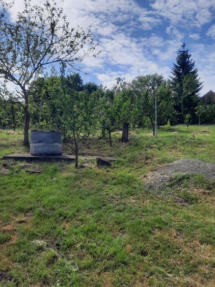 Vand casa de vacanta in Frunzeni jud. Mures - 8