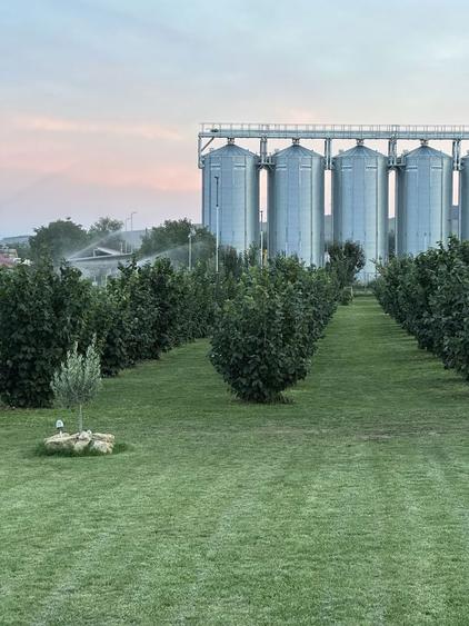 Vand propietate in Galda de Jos , 4700 mp - 5