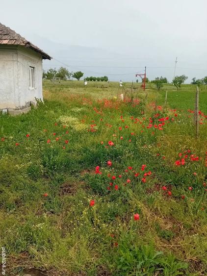 Vand casa si teren - 10