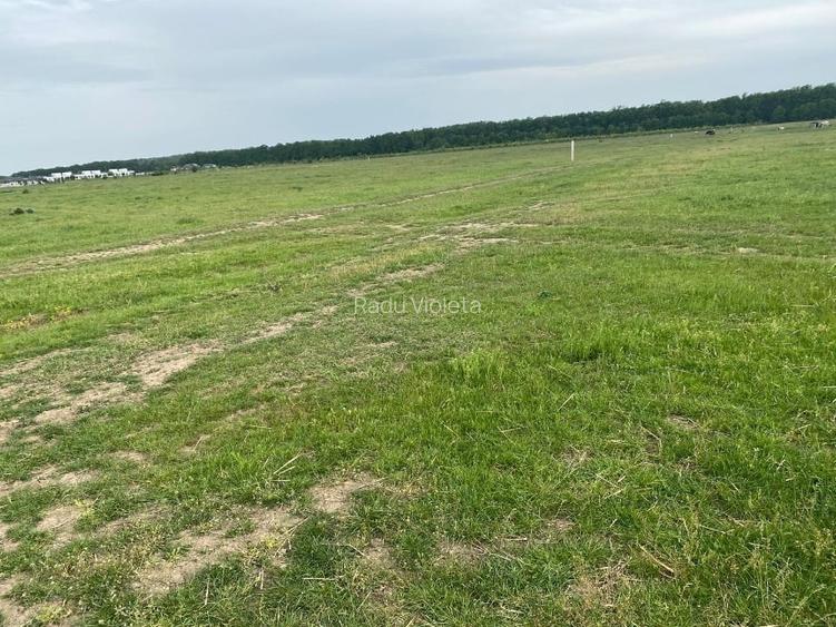 Teren Pipera - Voluntari 1704 mt2