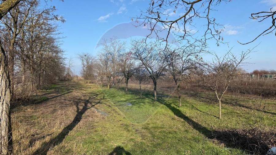 Teren 2,300mp Petresti / Strada Lacramioarei - 1