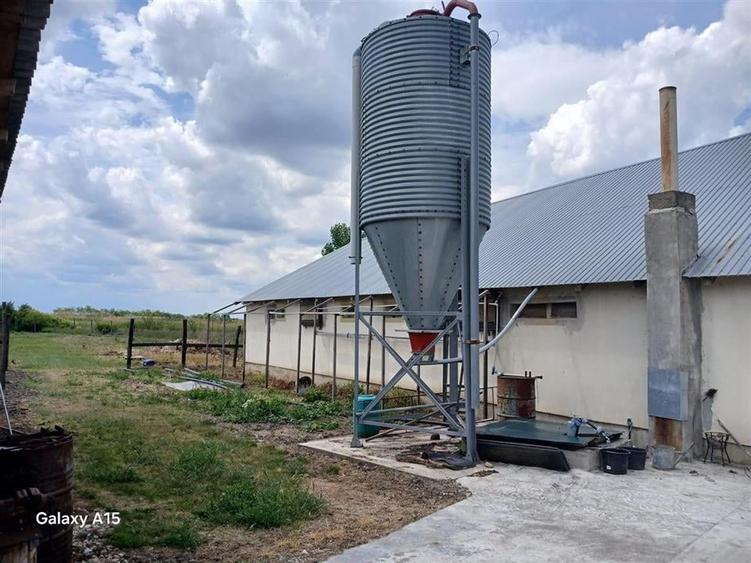 RECO Microferma avicola la doar 14 km de Oradea - 4