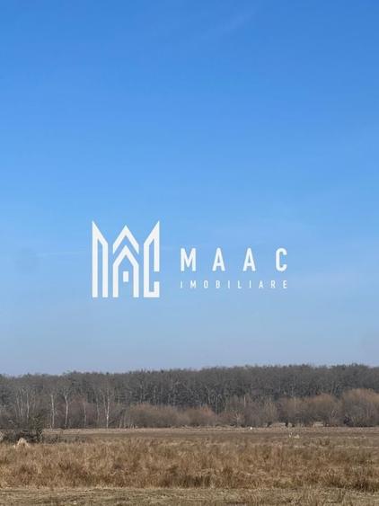 Teren 8600 MPU | Extravilan | Calea Cisnadiei - 4