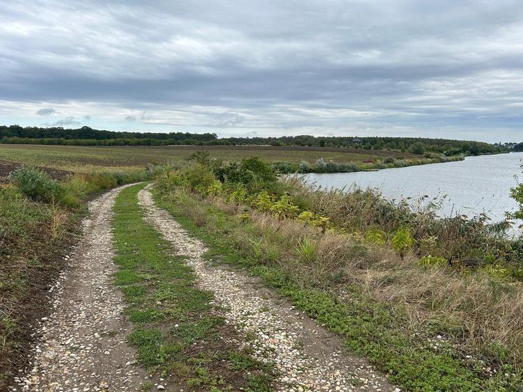MOARA VLASIEI TEREN INTRAVILAN LA LAC SI PADURE - 3