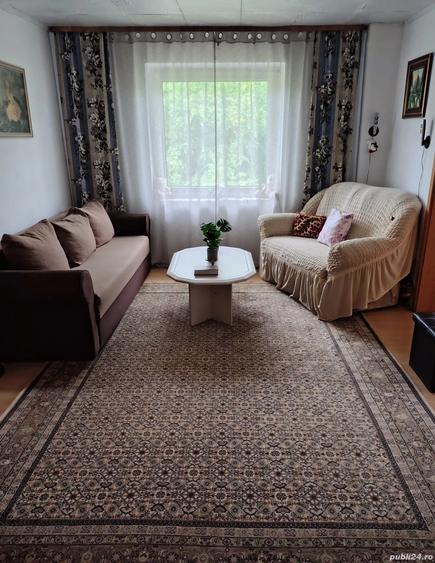 Vand casa si gradina in sat Breazova Jud Timi? - 7