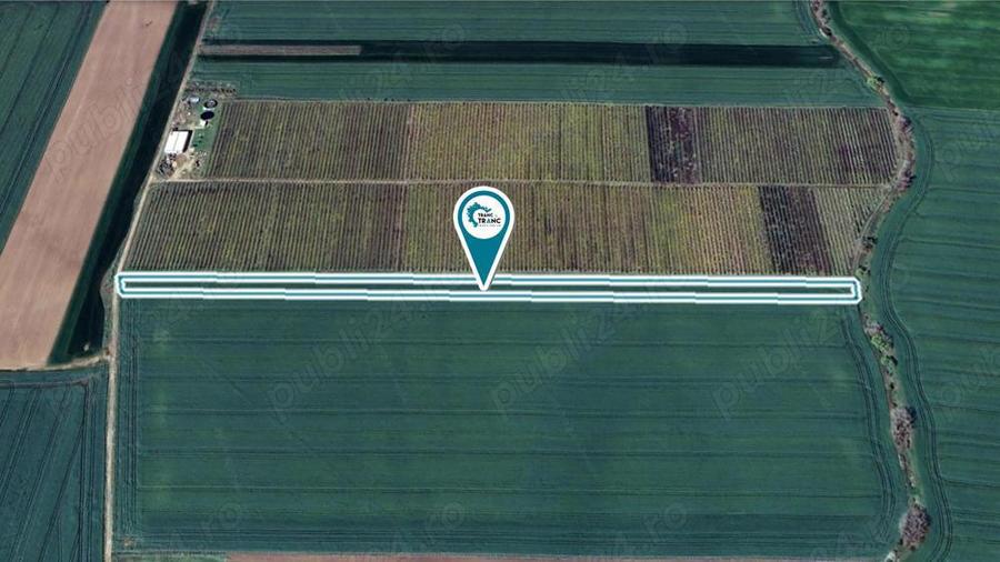 Teren agricol de 1 ha in Zimandu Nou - 1