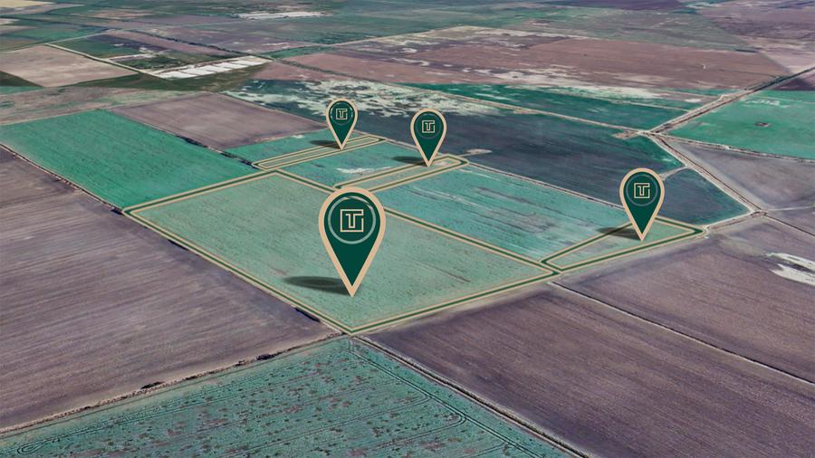 Teren agricol de 11,75 ha de vânzare, la 1,5 km de Turnu, jud. Arad - 4