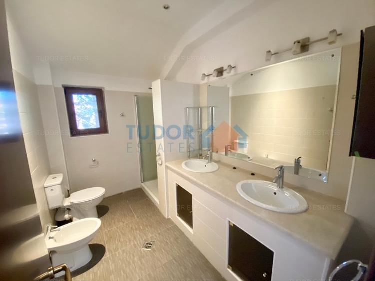 Vila cu piscina Iancu Nicolae - 17