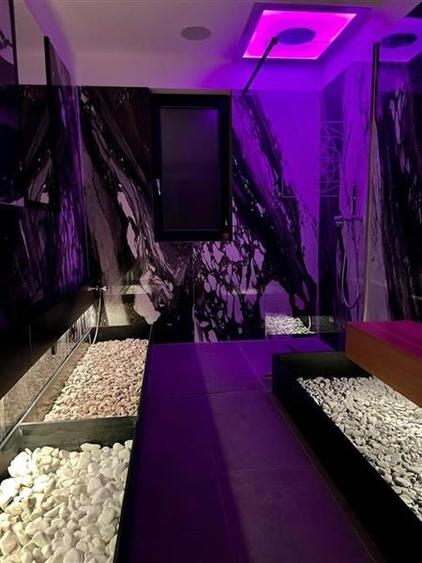 COMISION 0% SAD/Business la cheie SPA Dumbravita padure - 3