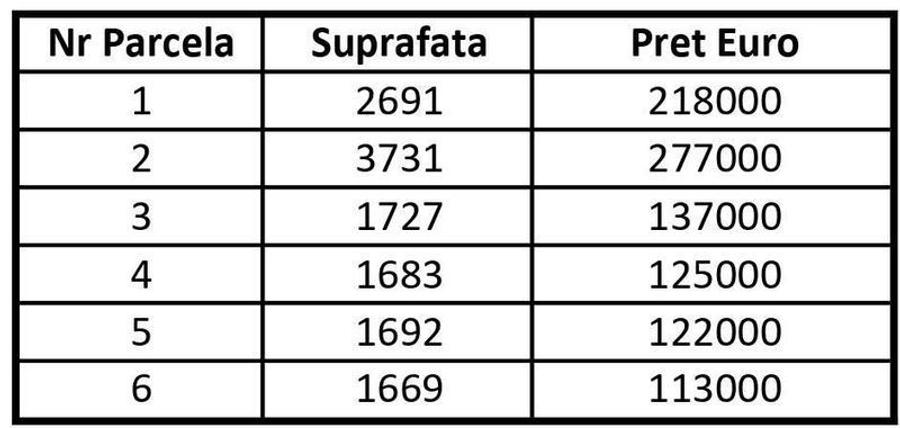 Teren Comercial si Industrial Centura Buzau - 2
