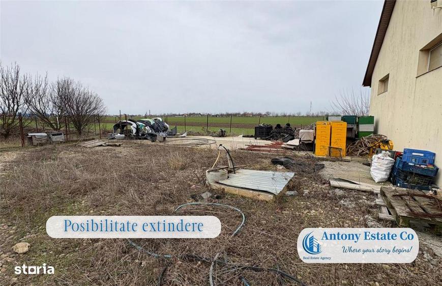 Hala de inchiriat, In Cauaceu - 3