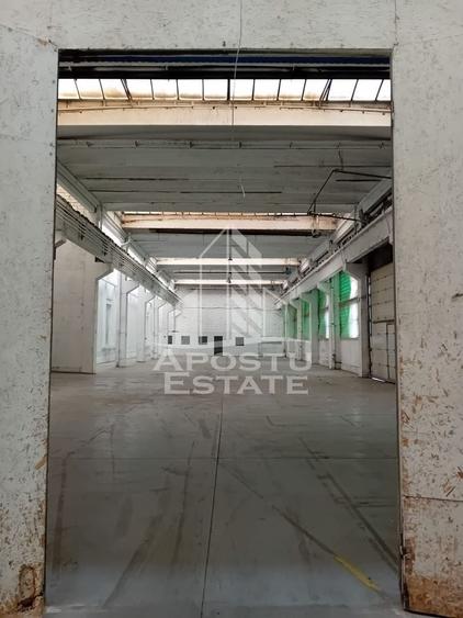 Hala Industriala, Sanicolau Mic - 5