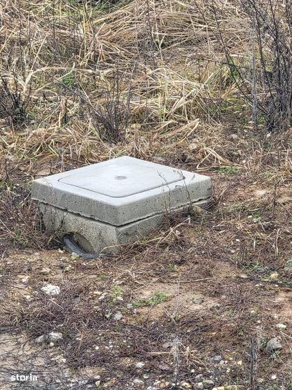 2380 mp teren in Paleu, strada Teiului - 3